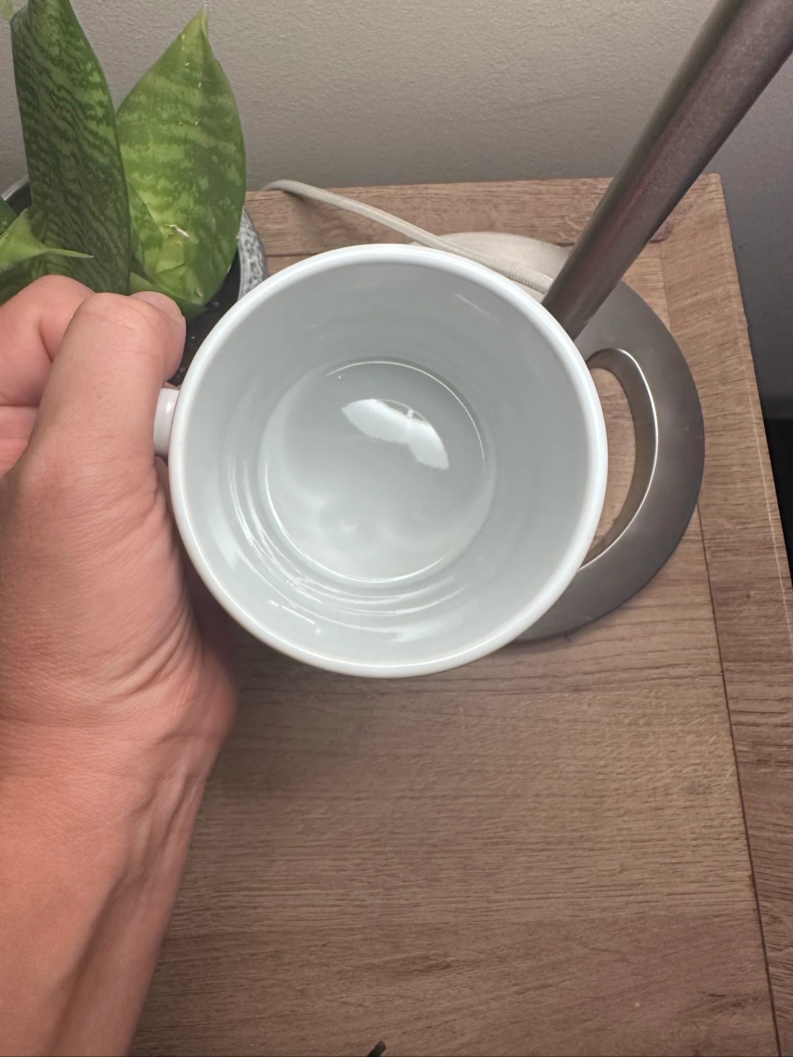Taza Dua Lipa – photo 3
